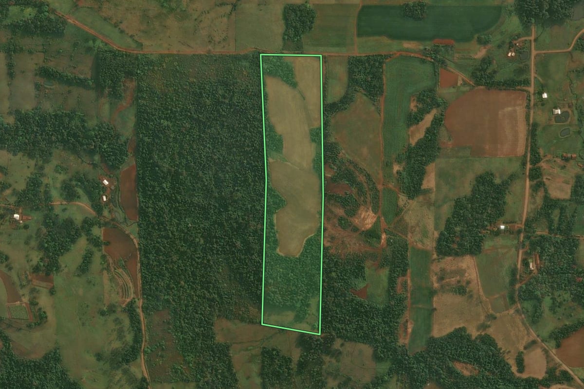 Imagem de satélite do imóvel rural em São Paulo das Missões (RS), com o contorno declarado no CAR desenhado por cima.