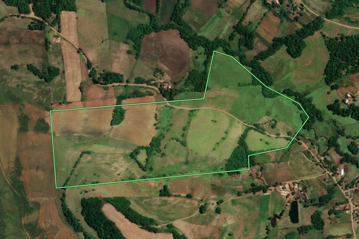 Imagem de satélite do imóvel rural em São Paulo das Missões (RS), com o contorno declarado no CAR desenhado por cima.