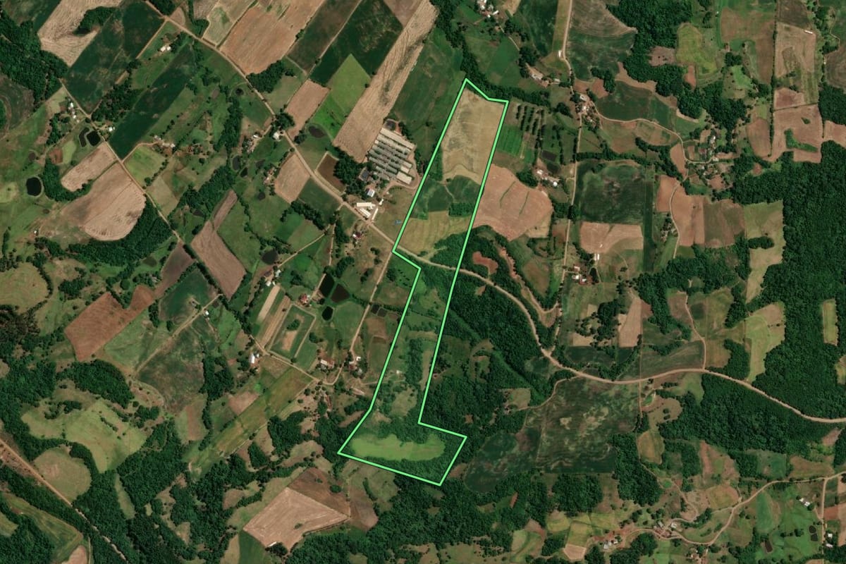 Imagem de satélite do imóvel rural em São Paulo das Missões (RS), com o contorno declarado no CAR desenhado por cima.