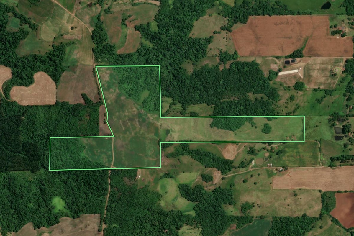 Imagem de satélite do imóvel rural em São Paulo das Missões (RS), com o contorno declarado no CAR desenhado por cima.