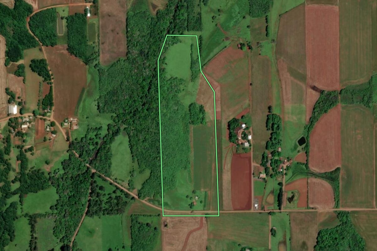 Imagem de satélite do imóvel rural em São Paulo das Missões (RS), com o contorno declarado no CAR desenhado por cima.
