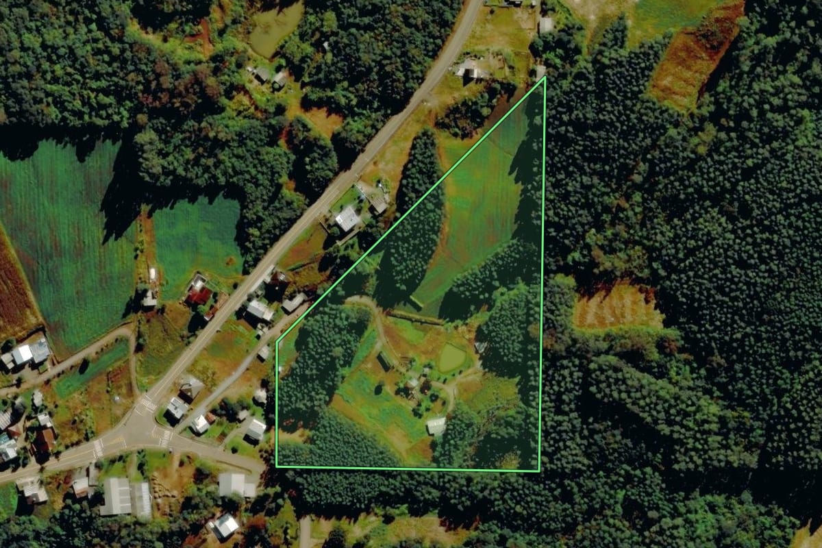 Imagem de satélite do imóvel rural em São Pedro da Serra (RS), com o contorno declarado no CAR desenhado por cima.