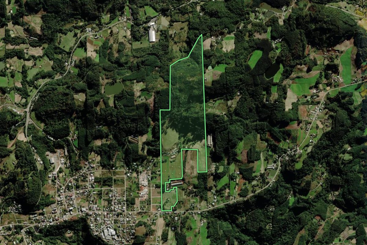 Imagem de satélite do imóvel rural em São Pedro da Serra (RS), com o contorno declarado no CAR desenhado por cima.