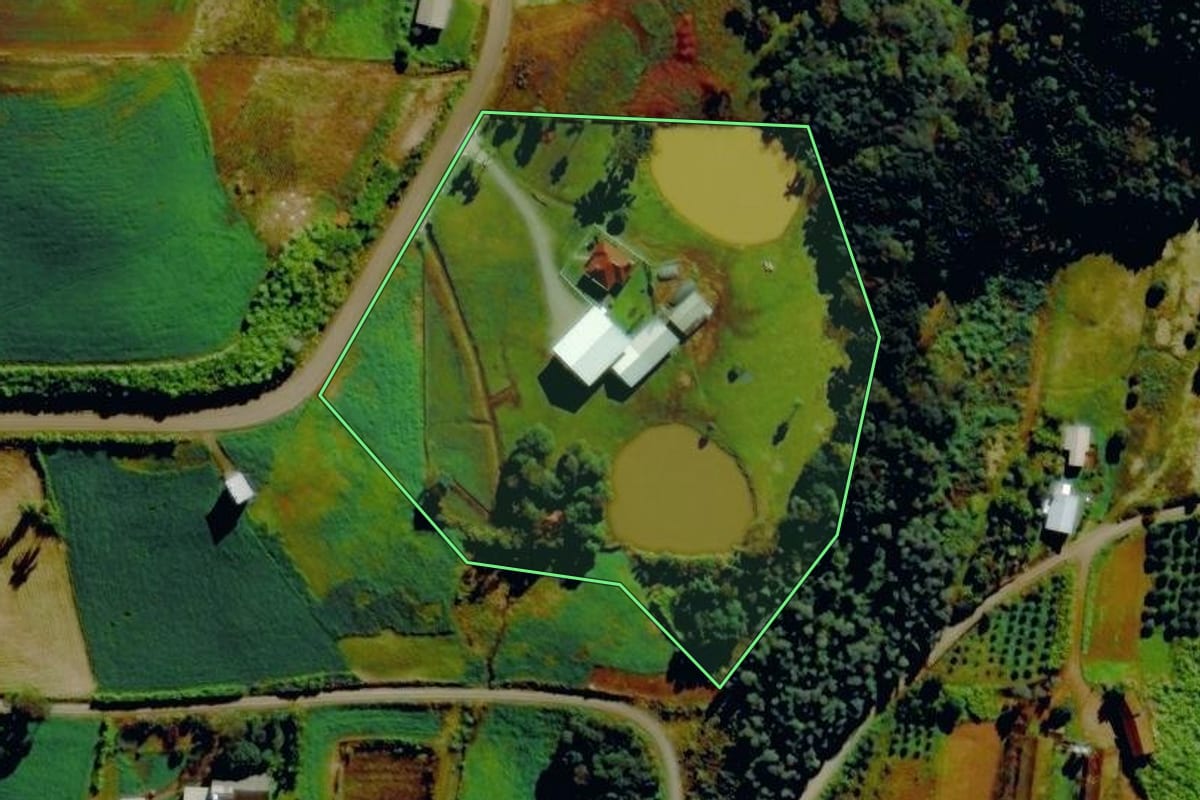 Imagem de satélite do imóvel rural em São Pedro da Serra (RS), com o contorno declarado no CAR desenhado por cima.