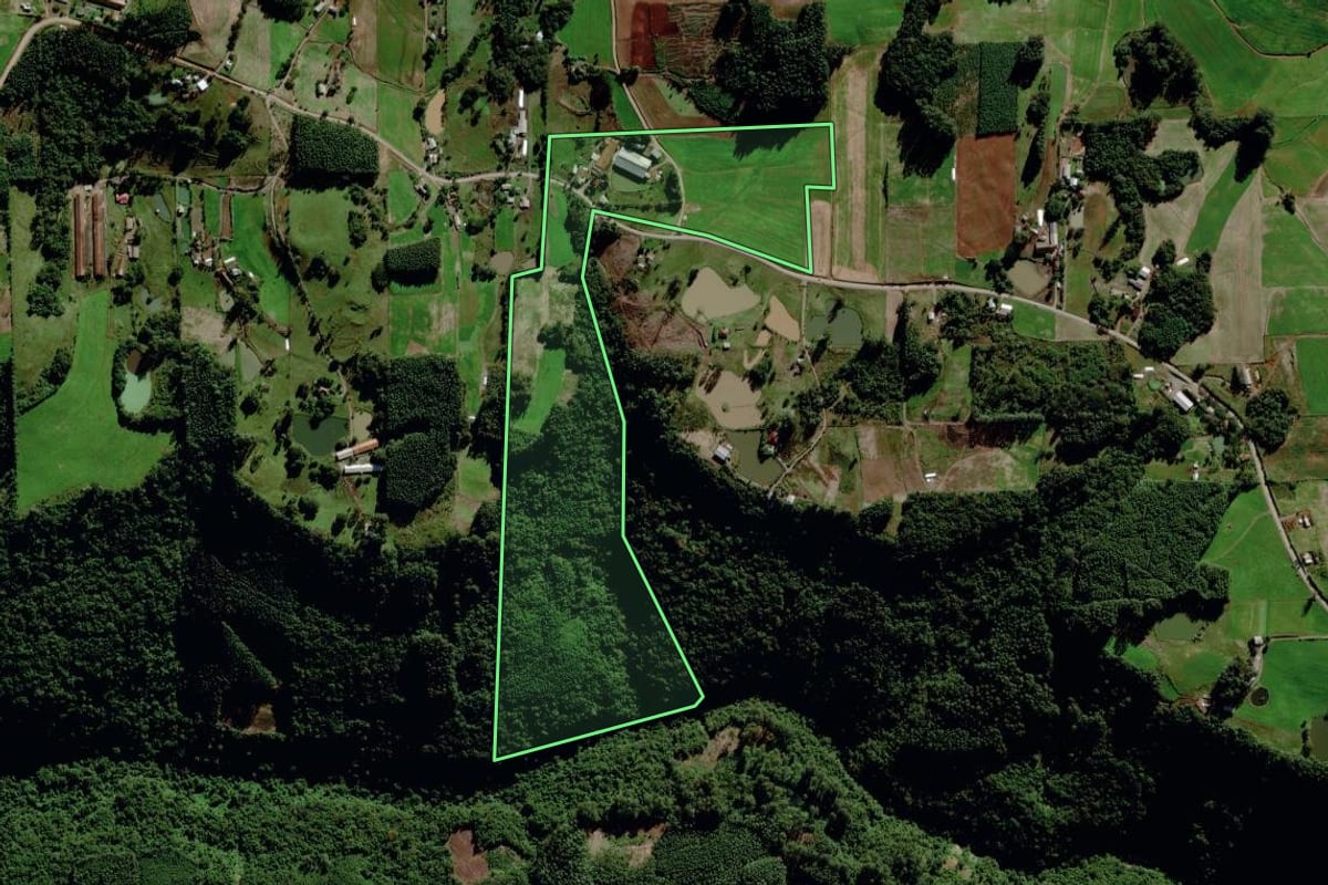 Imagem de satélite do imóvel rural em São Pedro da Serra (RS), com o contorno declarado no CAR desenhado por cima.