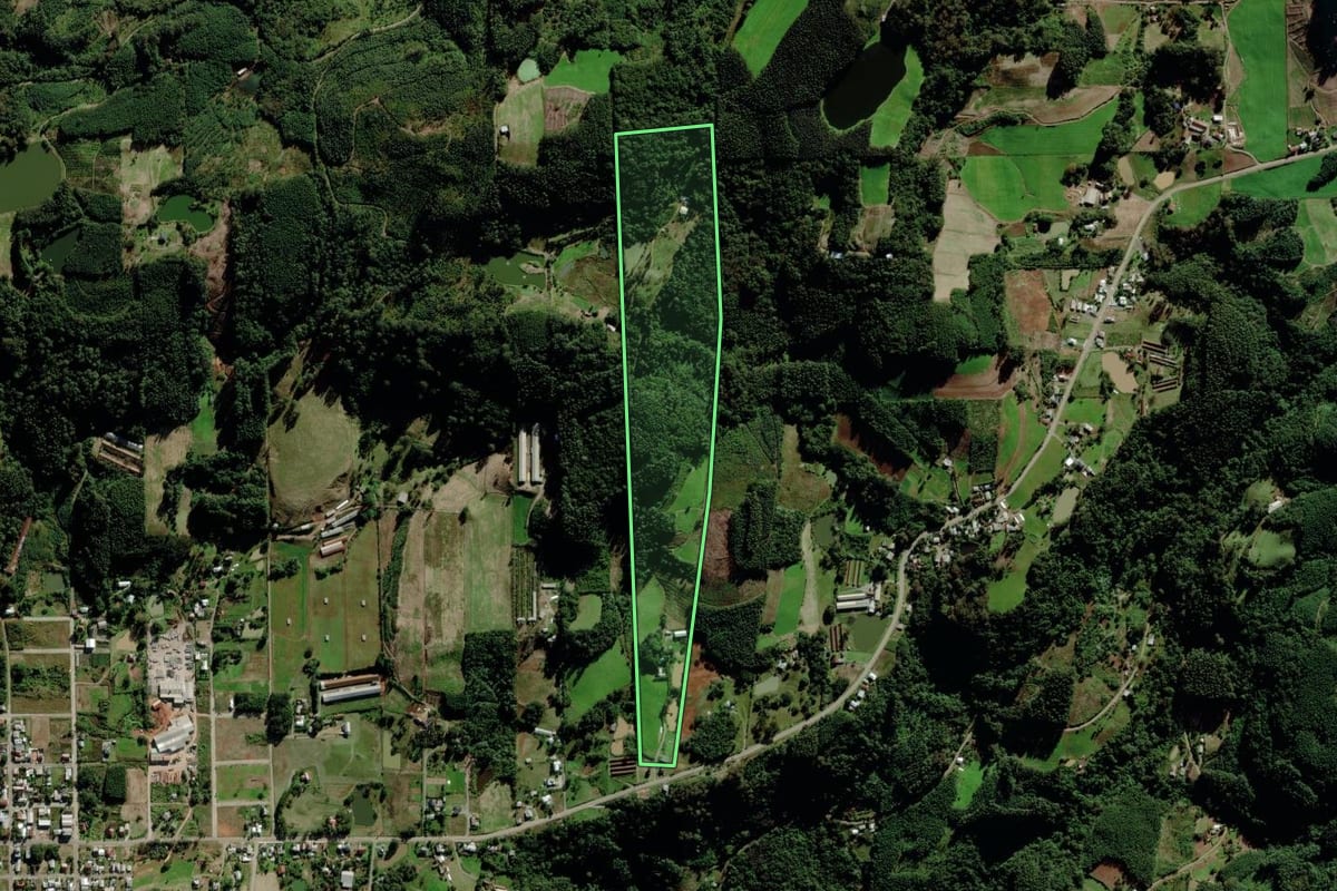 Imagem de satélite do imóvel rural em São Pedro da Serra (RS), com o contorno declarado no CAR desenhado por cima.