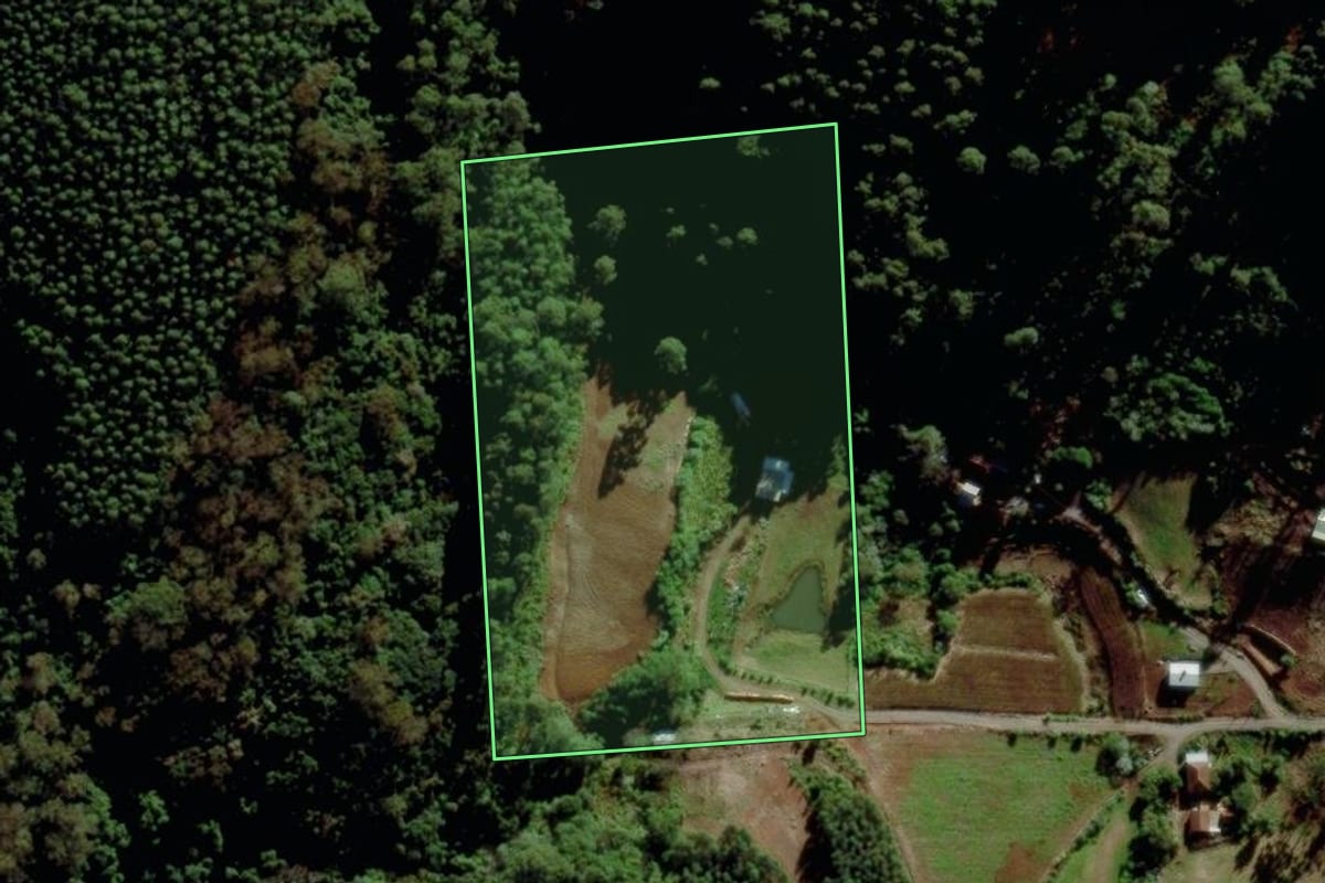 Imagem de satélite do imóvel rural em São Pedro da Serra (RS), com o contorno declarado no CAR desenhado por cima.