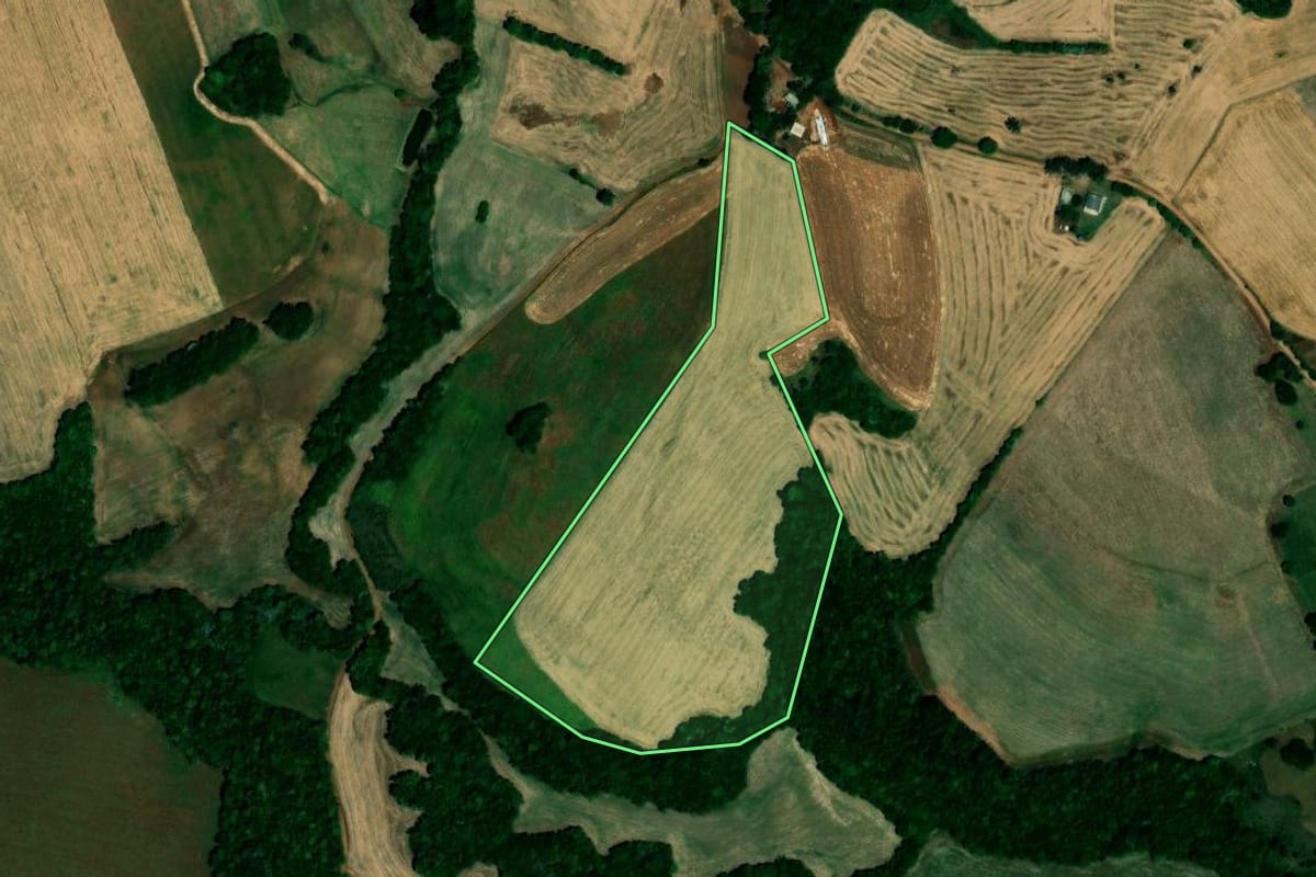 Imagem de satélite do imóvel rural em São Pedro das Missões (RS), com o contorno declarado no CAR desenhado por cima.
