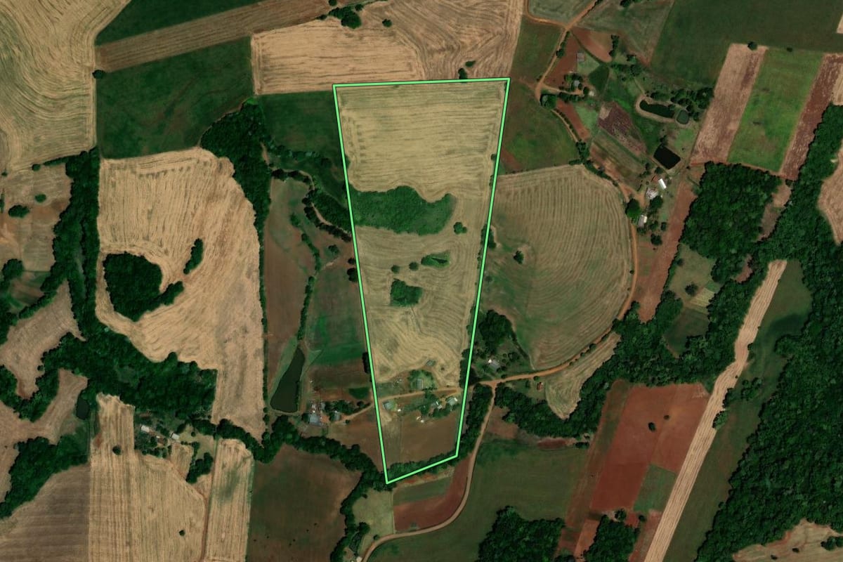 Imagem de satélite do imóvel rural em São Pedro das Missões (RS), com o contorno declarado no CAR desenhado por cima.