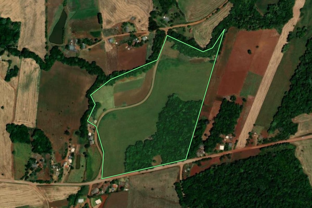 Imagem de satélite do imóvel rural em São Pedro das Missões (RS), com o contorno declarado no CAR desenhado por cima.