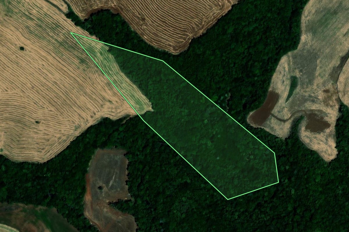 Imagem de satélite do imóvel rural em São Pedro das Missões (RS), com o contorno declarado no CAR desenhado por cima.