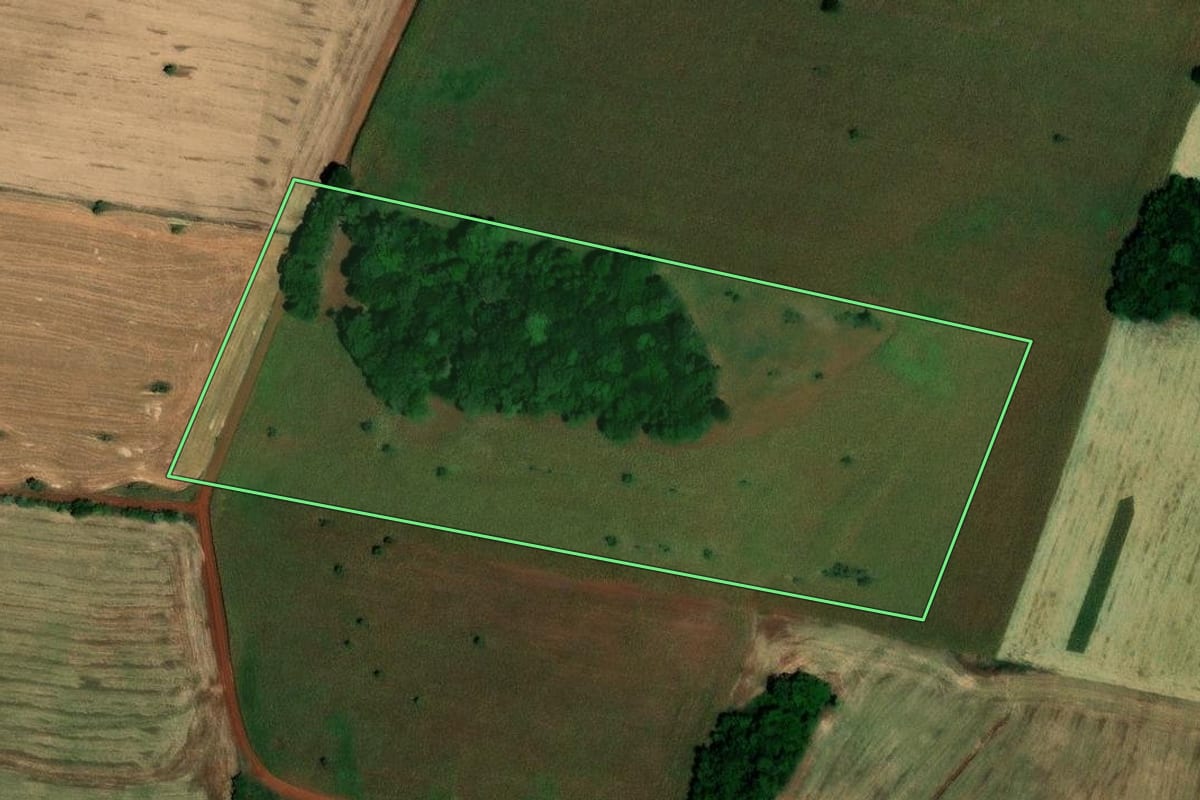 Imagem de satélite do imóvel rural em São Pedro das Missões (RS), com o contorno declarado no CAR desenhado por cima.