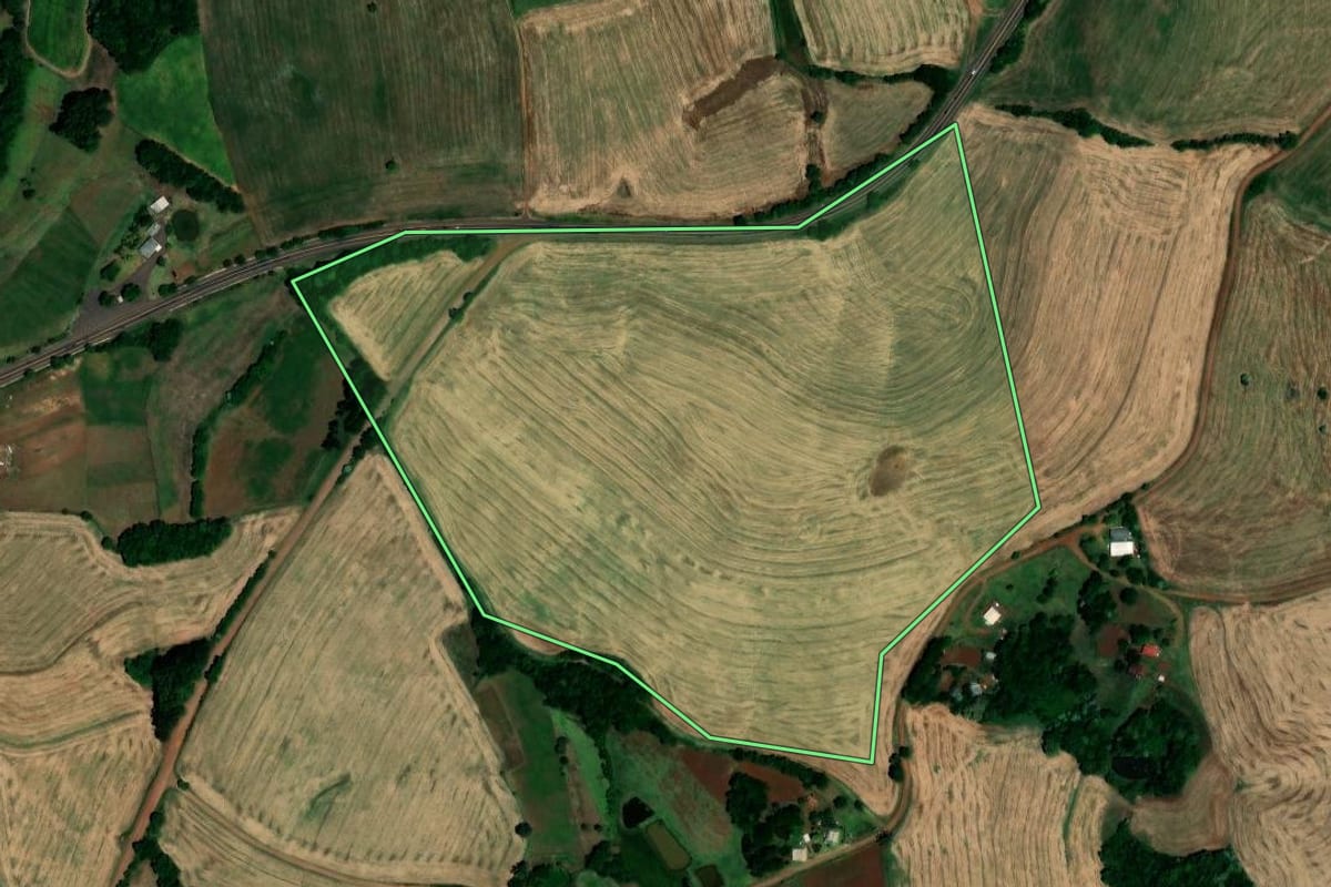 Imagem de satélite do imóvel rural em São Pedro das Missões (RS), com o contorno declarado no CAR desenhado por cima.