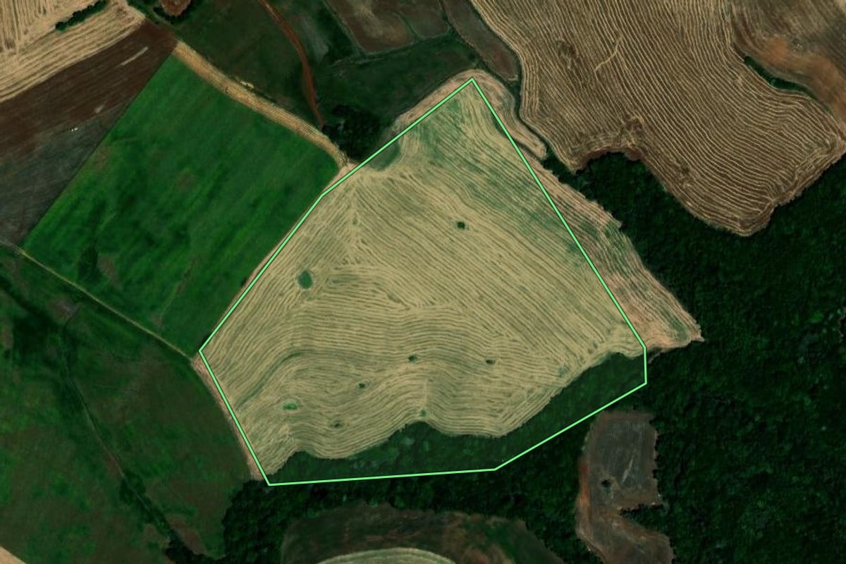 Imagem de satélite do imóvel rural em São Pedro das Missões (RS), com o contorno declarado no CAR desenhado por cima.