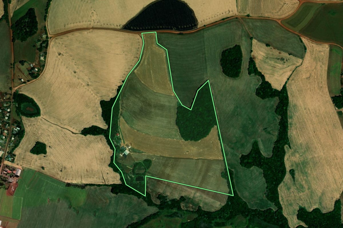 Imagem de satélite do imóvel rural em São Pedro das Missões (RS), com o contorno declarado no CAR desenhado por cima.
