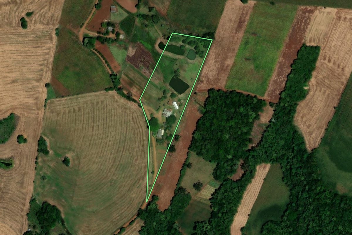 Imagem de satélite do imóvel rural em São Pedro das Missões (RS), com o contorno declarado no CAR desenhado por cima.