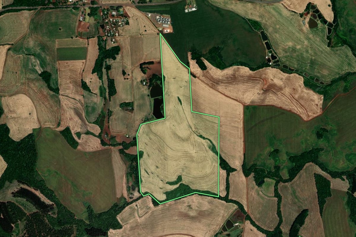 Imagem de satélite do imóvel rural em São Pedro das Missões (RS), com o contorno declarado no CAR desenhado por cima.