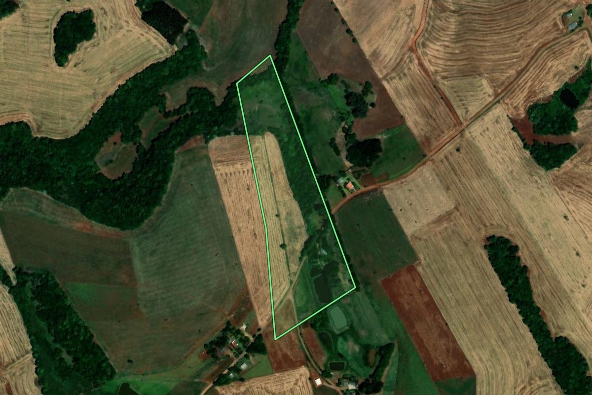 Imagem de satélite do imóvel rural em São Pedro das Missões (RS), com o contorno declarado no CAR desenhado por cima.