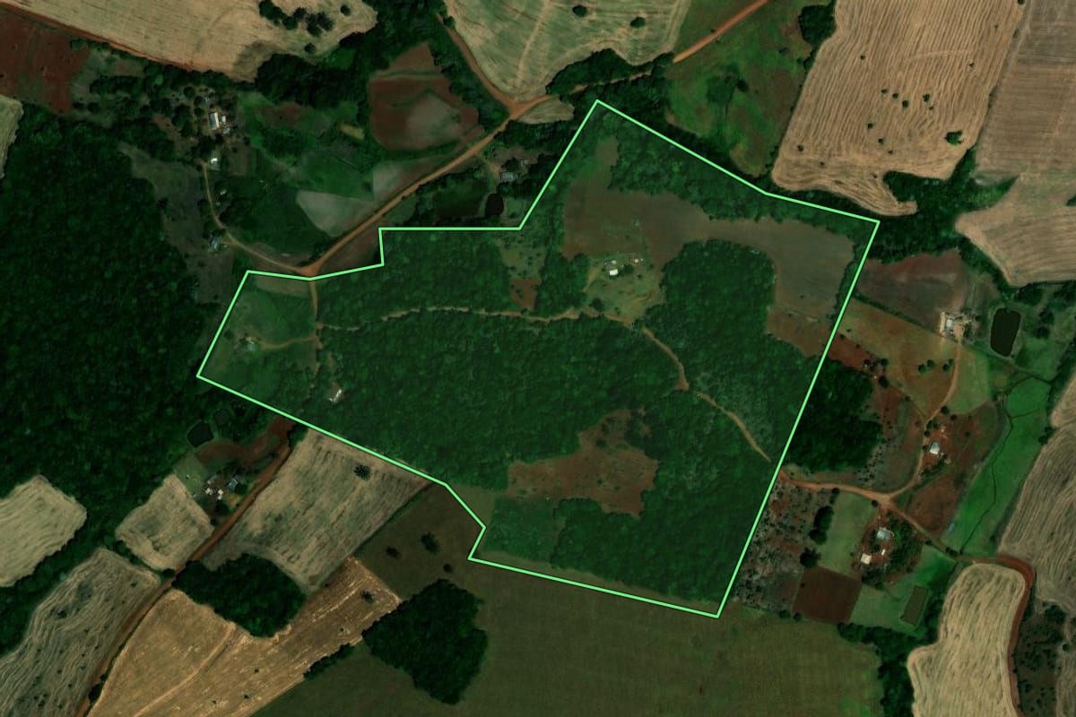 Imagem de satélite do imóvel rural em São Pedro das Missões (RS), com o contorno declarado no CAR desenhado por cima.
