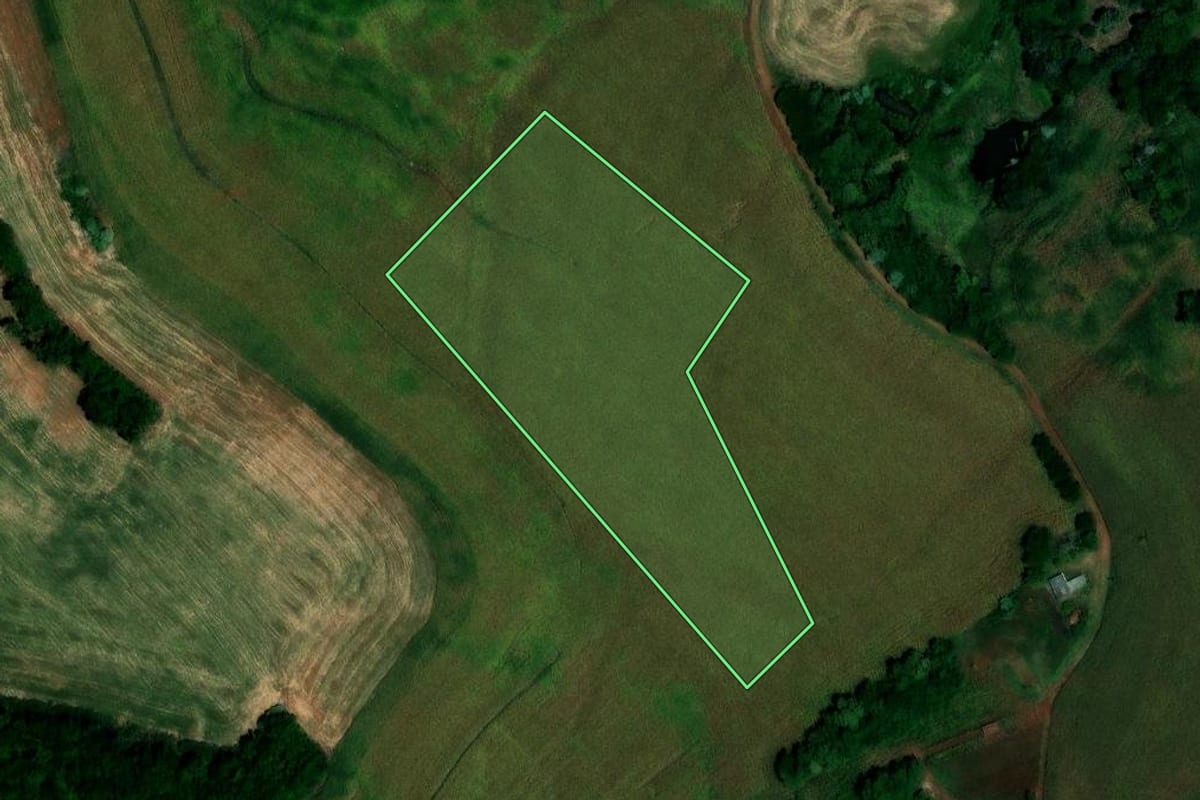 Imagem de satélite do imóvel rural em São Pedro das Missões (RS), com o contorno declarado no CAR desenhado por cima.