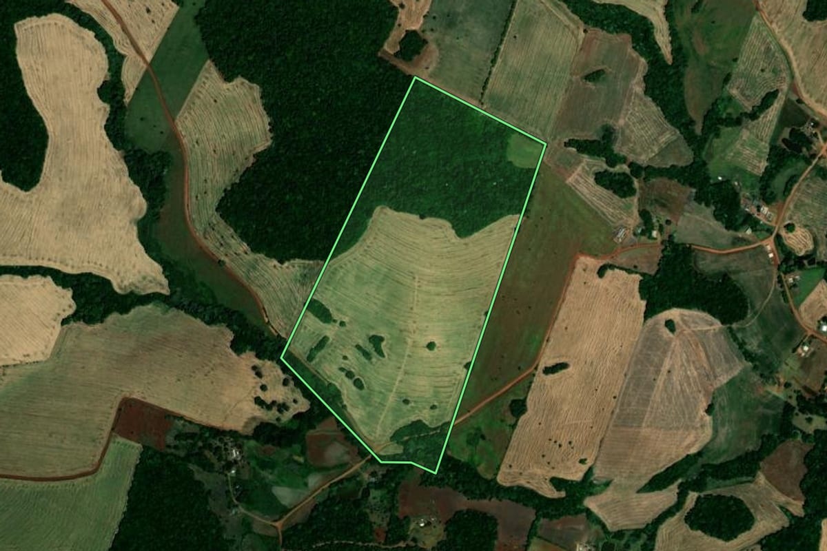 Imagem de satélite do imóvel rural em São Pedro das Missões (RS), com o contorno declarado no CAR desenhado por cima.