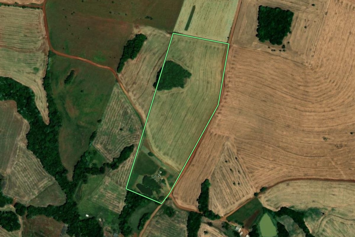 Imagem de satélite do imóvel rural em São Pedro das Missões (RS), com o contorno declarado no CAR desenhado por cima.