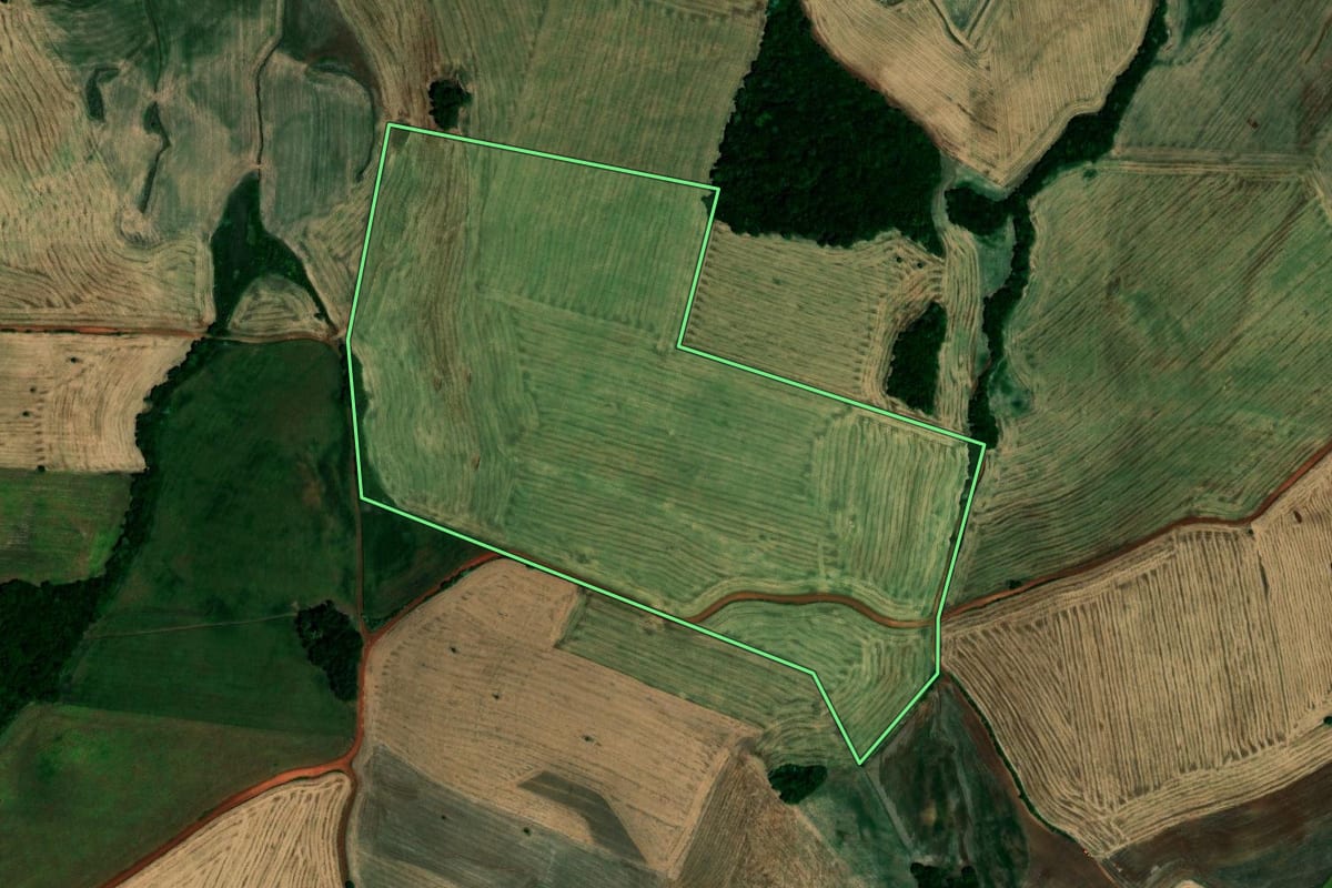 Imagem de satélite do imóvel rural em São Pedro das Missões (RS), com o contorno declarado no CAR desenhado por cima.