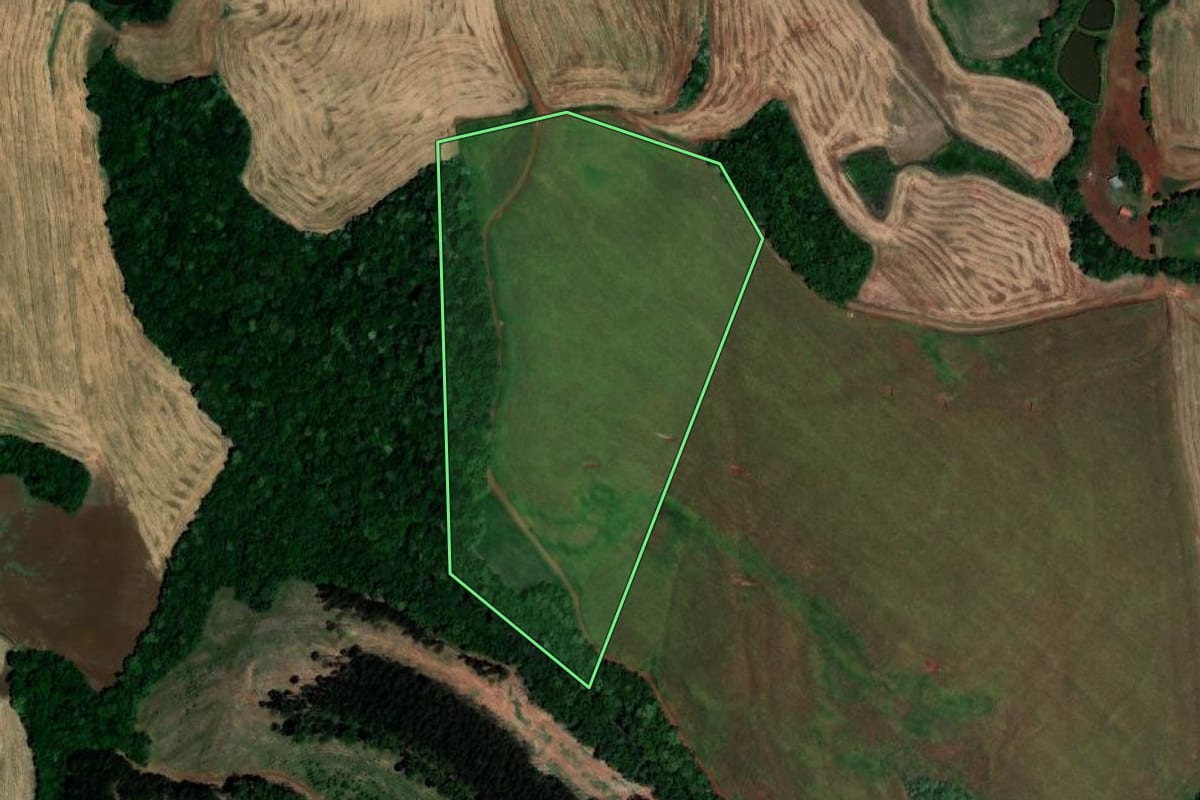 Imagem de satélite do imóvel rural em São Pedro das Missões (RS), com o contorno declarado no CAR desenhado por cima.