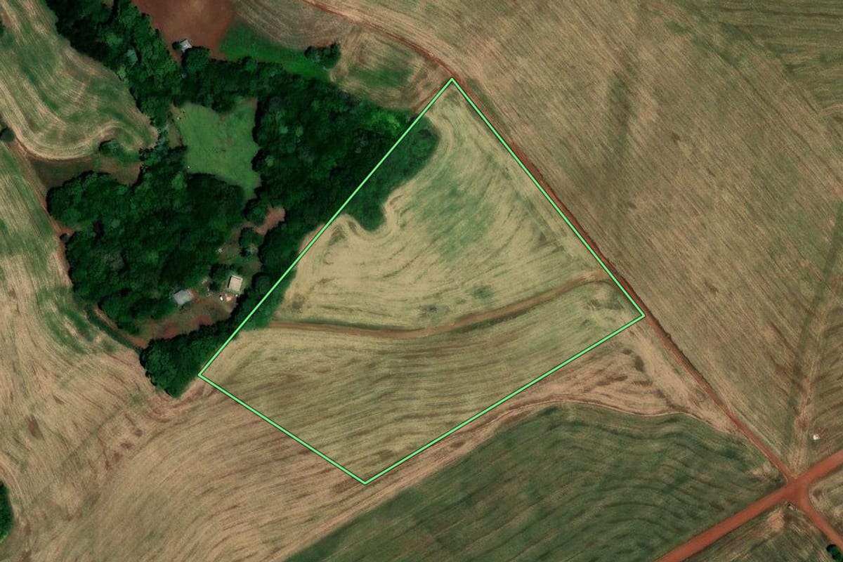 Imagem de satélite do imóvel rural em São Pedro das Missões (RS), com o contorno declarado no CAR desenhado por cima.