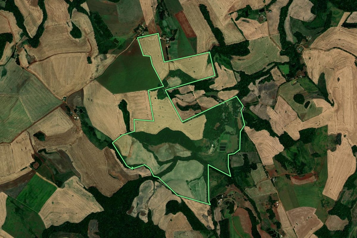 Imagem de satélite do imóvel rural em São Pedro das Missões (RS), com o contorno declarado no CAR desenhado por cima.