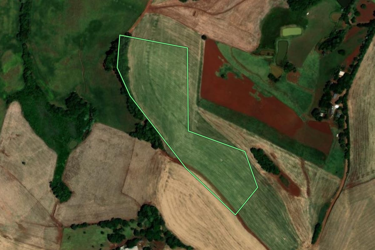 Imagem de satélite do imóvel rural em São Pedro das Missões (RS), com o contorno declarado no CAR desenhado por cima.