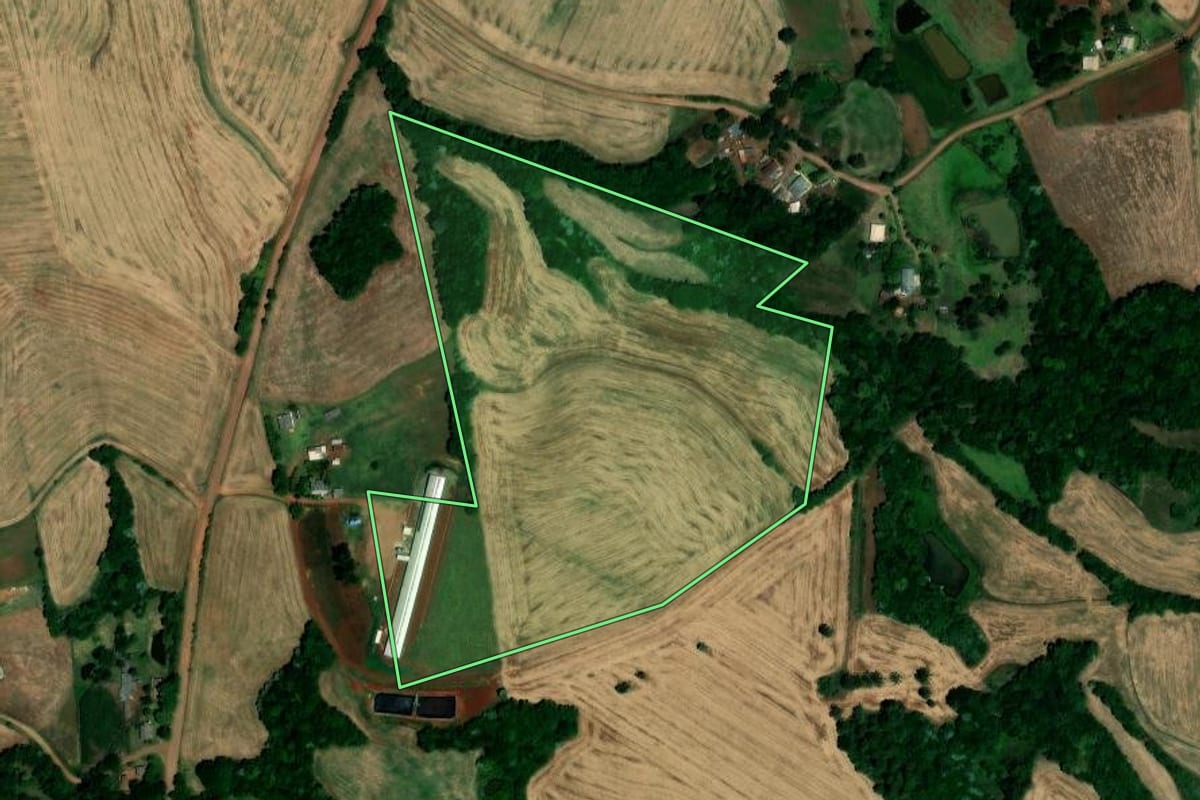 Imagem de satélite do imóvel rural em São Pedro das Missões (RS), com o contorno declarado no CAR desenhado por cima.