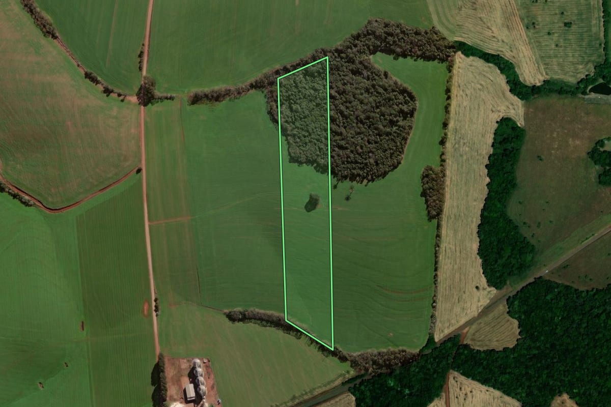 Imagem de satélite do imóvel rural em São Pedro das Missões (RS), com o contorno declarado no CAR desenhado por cima.