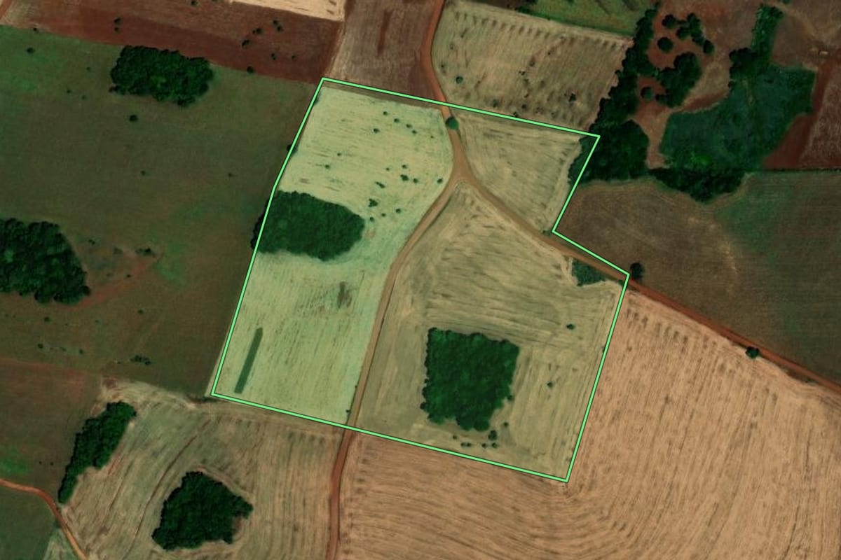 Imagem de satélite do imóvel rural em São Pedro das Missões (RS), com o contorno declarado no CAR desenhado por cima.