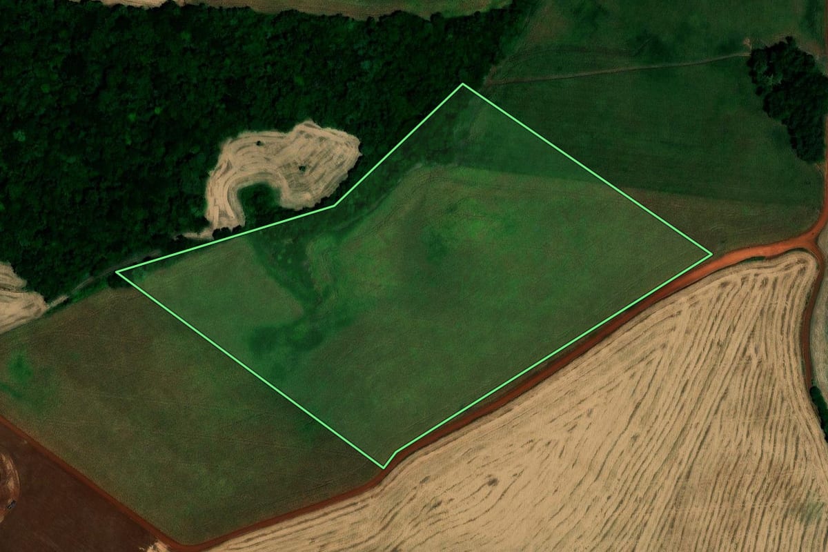 Imagem de satélite do imóvel rural em São Pedro das Missões (RS), com o contorno declarado no CAR desenhado por cima.