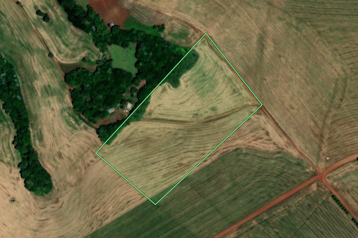 Imagem de satélite do imóvel rural em São Pedro das Missões (RS), com o contorno declarado no CAR desenhado por cima.