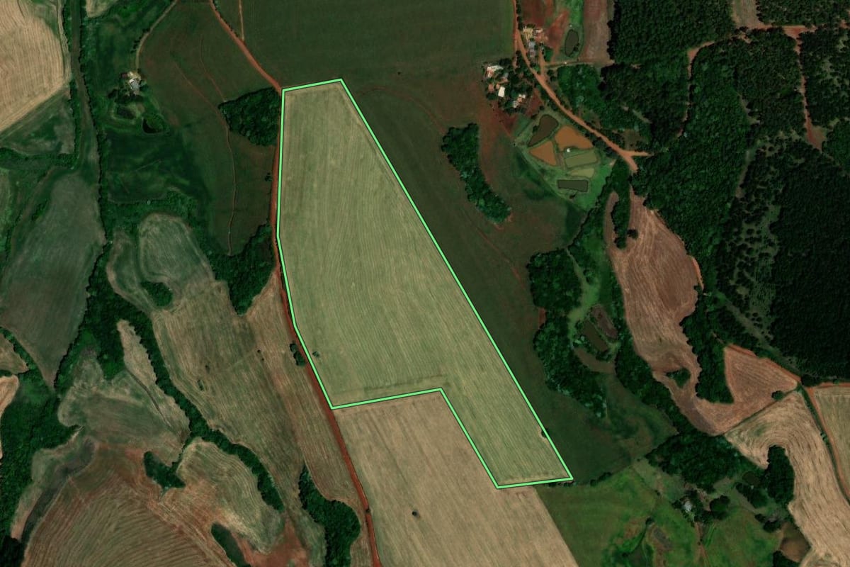 Imagem de satélite do imóvel rural em São Pedro das Missões (RS), com o contorno declarado no CAR desenhado por cima.