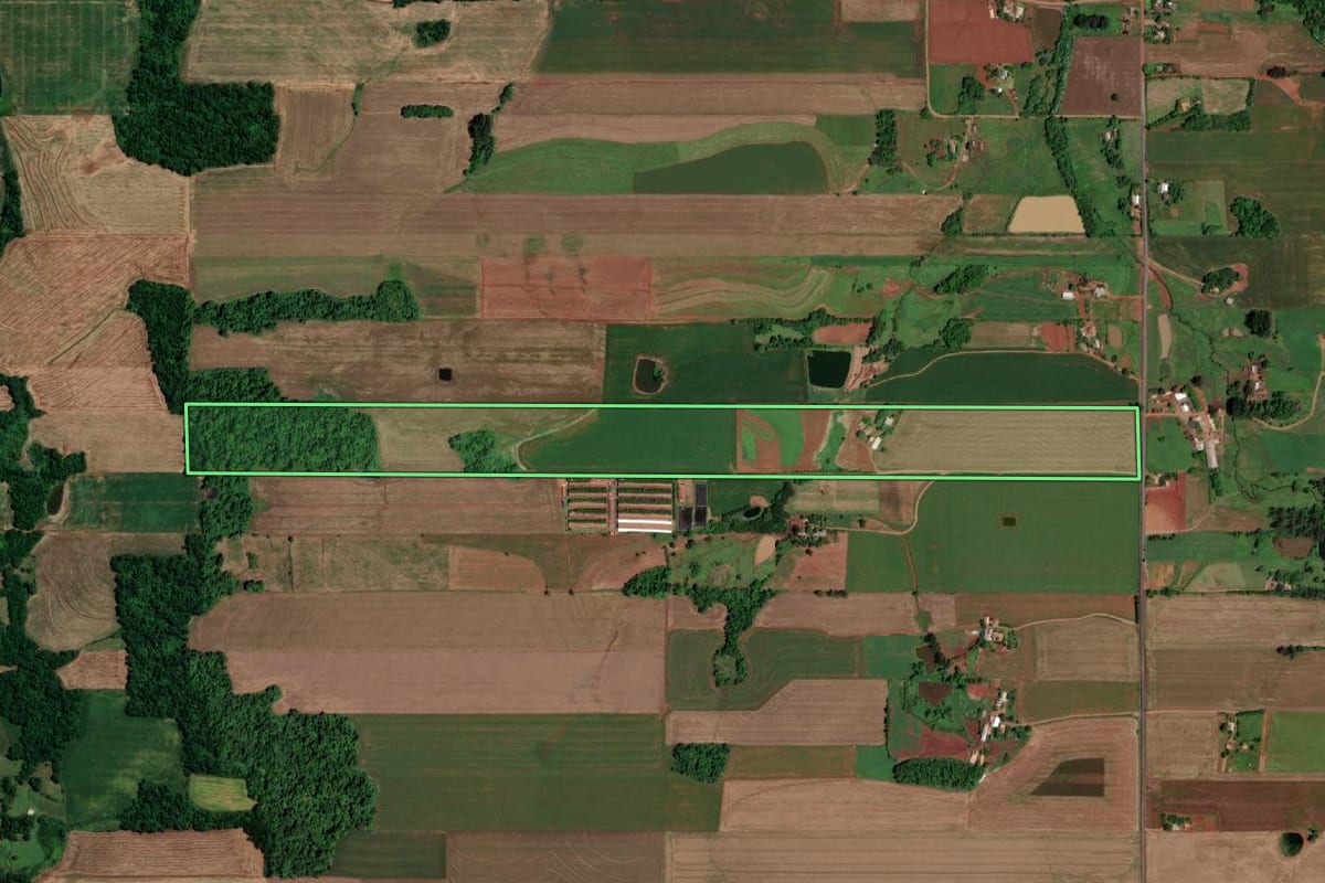 Imagem de satélite do imóvel rural em São Pedro do Butiá (RS), com o contorno declarado no CAR desenhado por cima.
