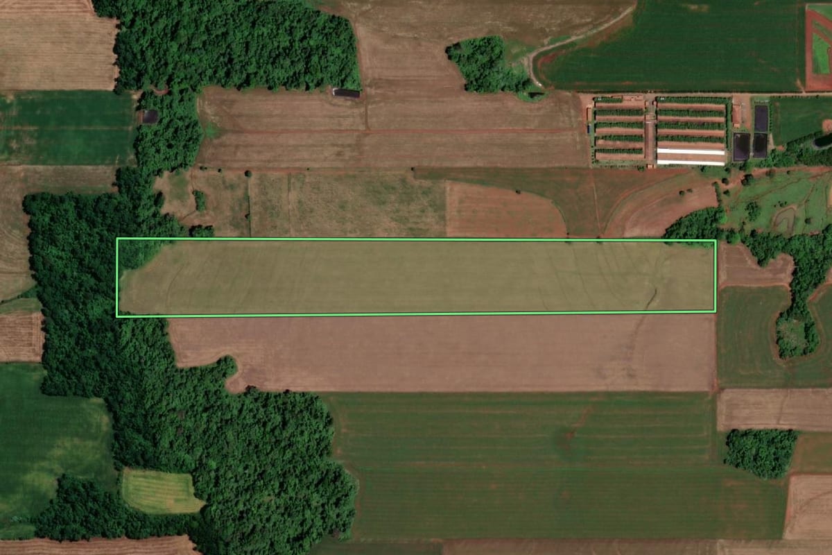 Imagem de satélite do imóvel rural em São Pedro do Butiá (RS), com o contorno declarado no CAR desenhado por cima.