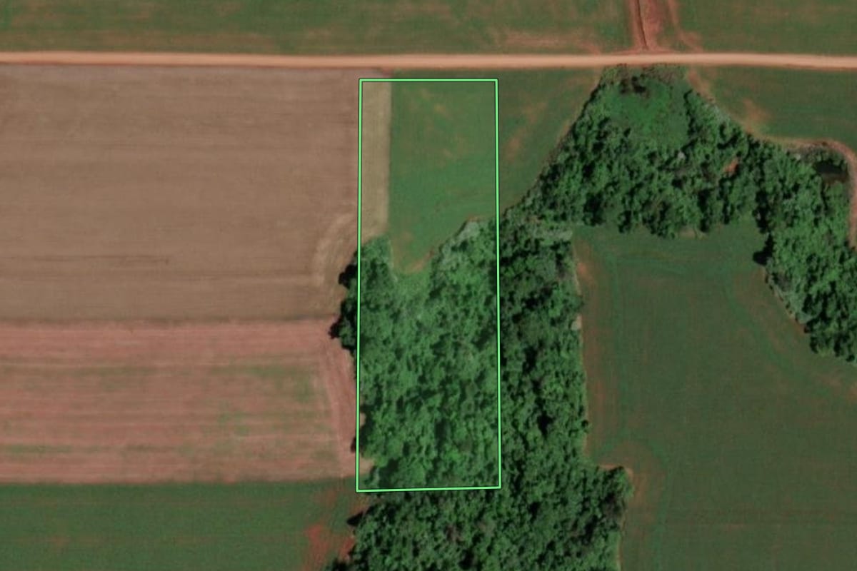 Imagem de satélite do imóvel rural em São Pedro do Butiá (RS), com o contorno declarado no CAR desenhado por cima.