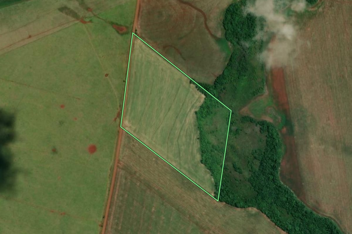 Imagem de satélite do imóvel rural em São Pedro do Butiá (RS), com o contorno declarado no CAR desenhado por cima.
