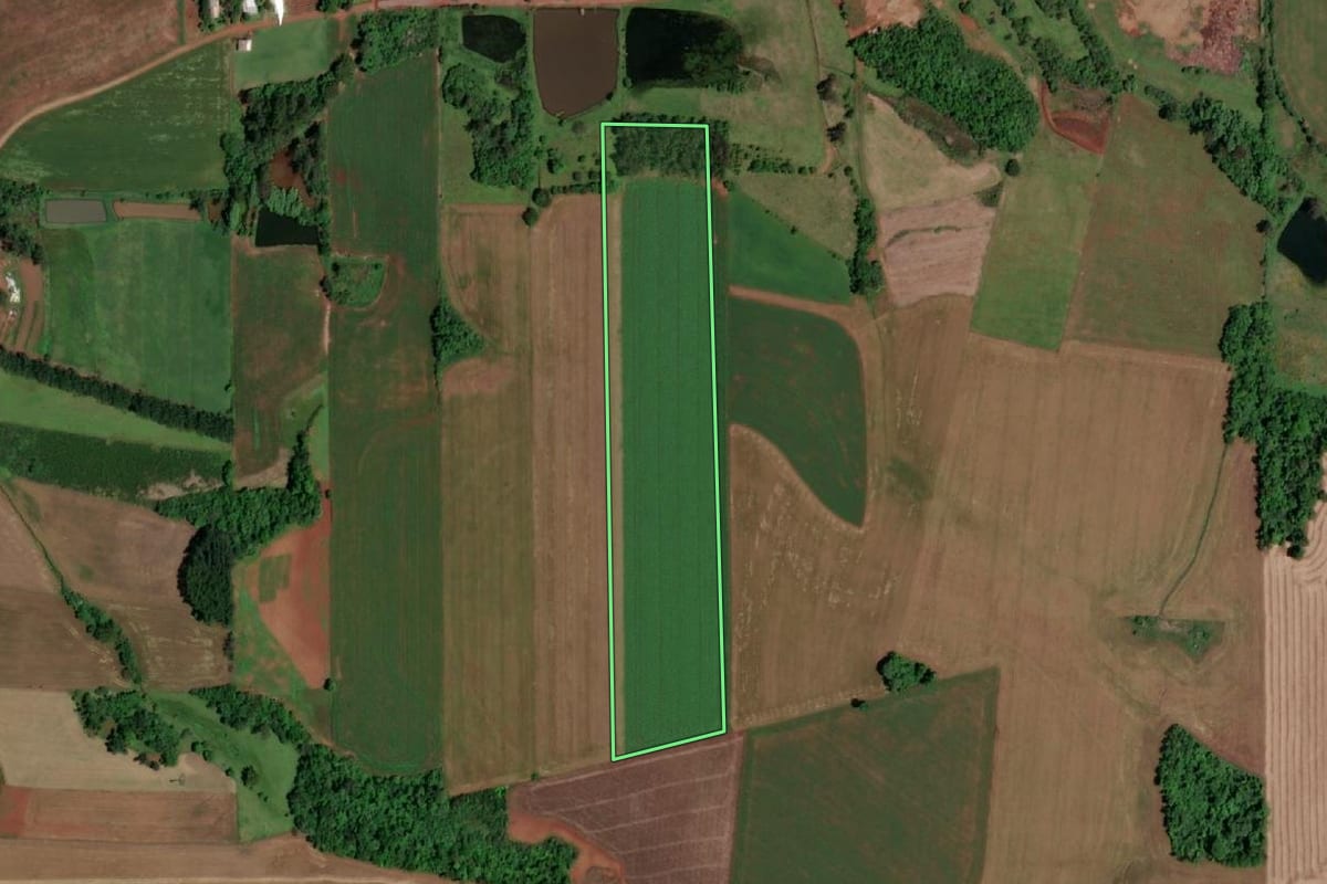 Imagem de satélite do imóvel rural em São Pedro do Butiá (RS), com o contorno declarado no CAR desenhado por cima.