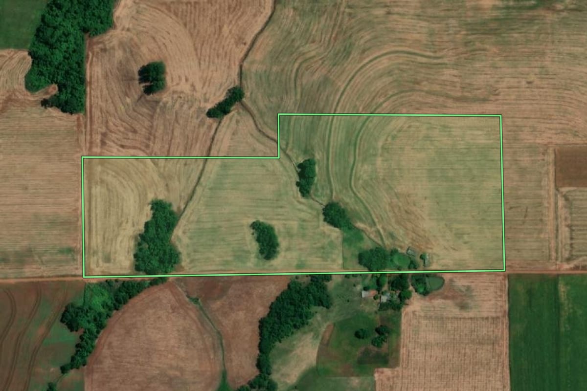 Imagem de satélite do imóvel rural em São Pedro do Butiá (RS), com o contorno declarado no CAR desenhado por cima.