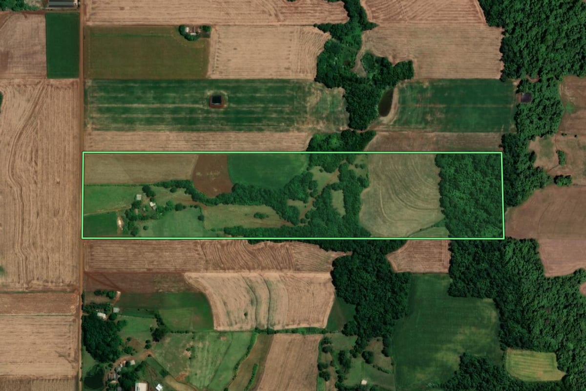 Imagem de satélite do imóvel rural em São Pedro do Butiá (RS), com o contorno declarado no CAR desenhado por cima.