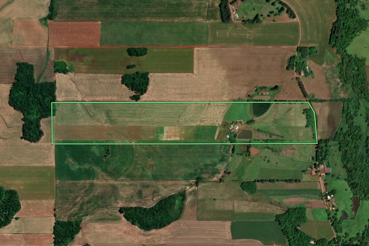Imagem de satélite do imóvel rural em São Pedro do Butiá (RS), com o contorno declarado no CAR desenhado por cima.