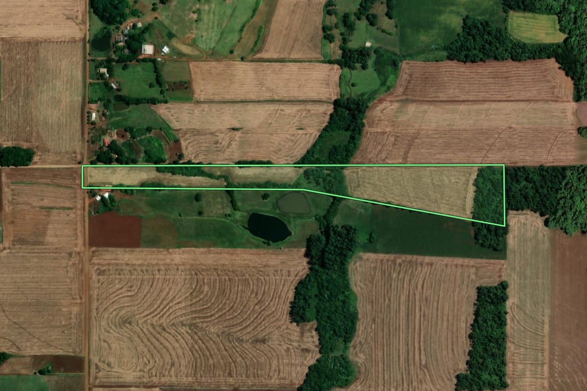 Imagem de satélite do imóvel rural em São Pedro do Butiá (RS), com o contorno declarado no CAR desenhado por cima.