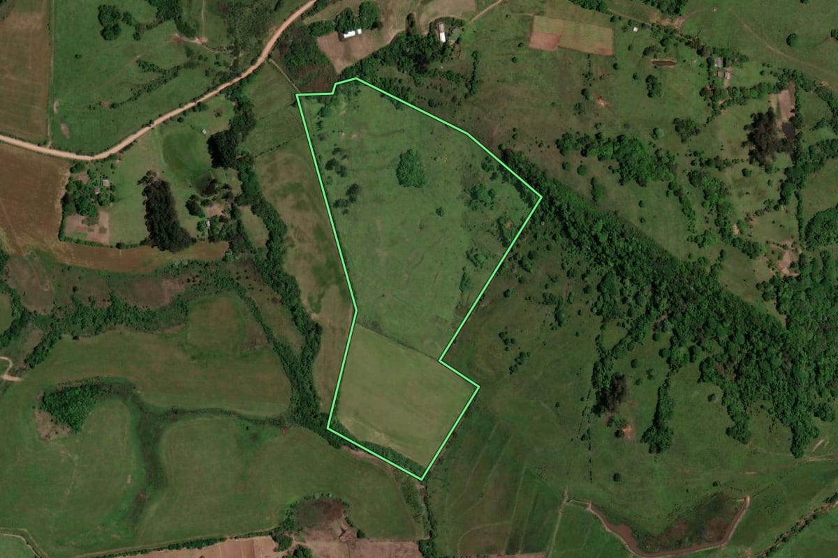 Imagem de satélite do imóvel rural em São Pedro do Sul (RS), com o contorno declarado no CAR desenhado por cima.