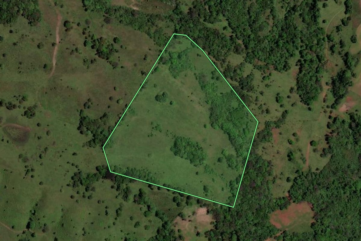 Imagem de satélite do imóvel rural em São Pedro do Sul (RS), com o contorno declarado no CAR desenhado por cima.