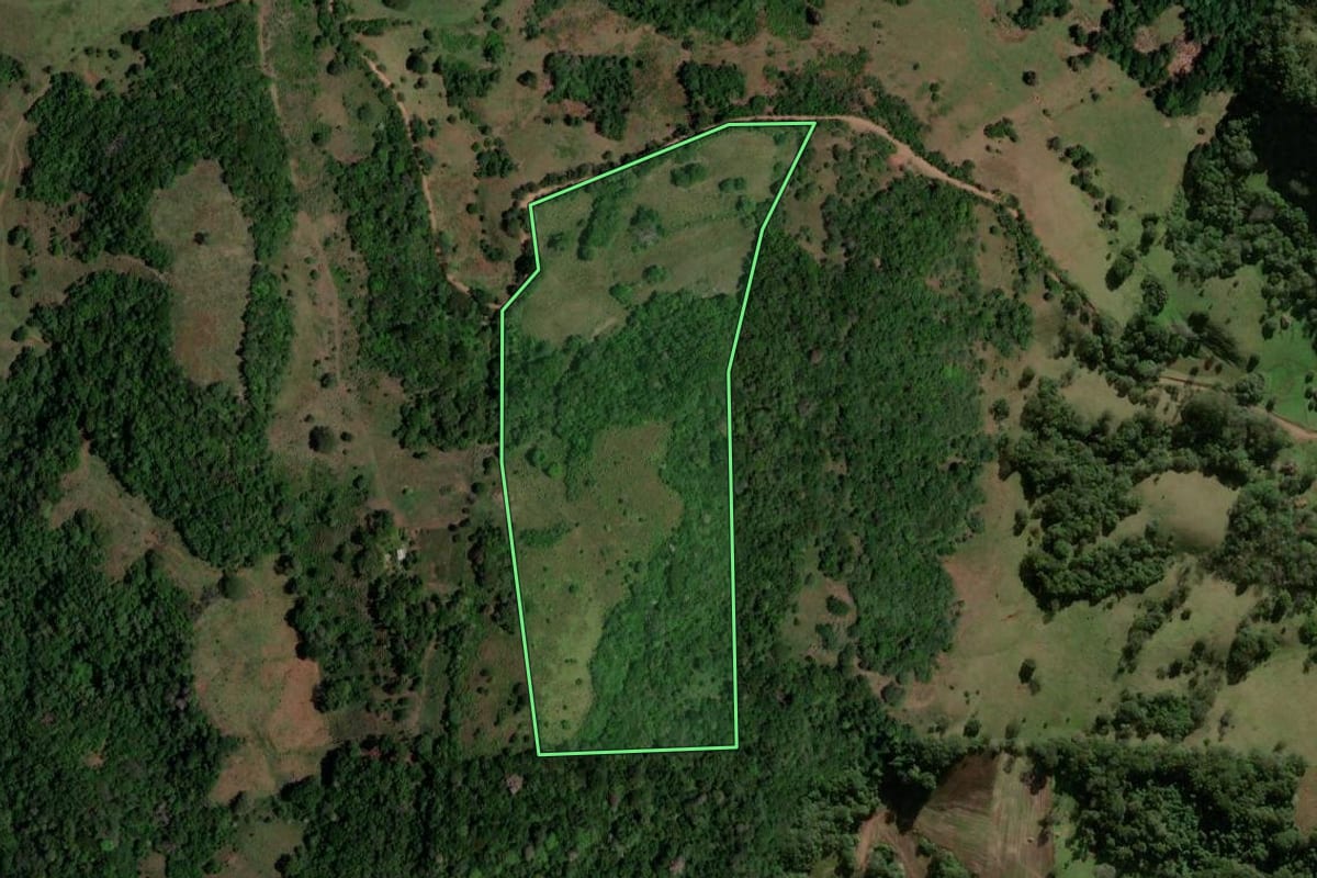 Imagem de satélite do imóvel rural em São Pedro do Sul (RS), com o contorno declarado no CAR desenhado por cima.