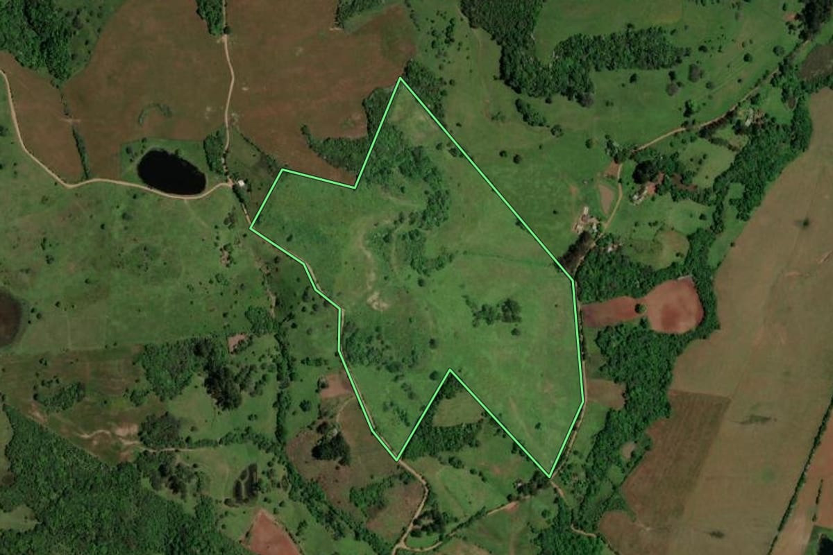 Imagem de satélite do imóvel rural em São Pedro do Sul (RS), com o contorno declarado no CAR desenhado por cima.